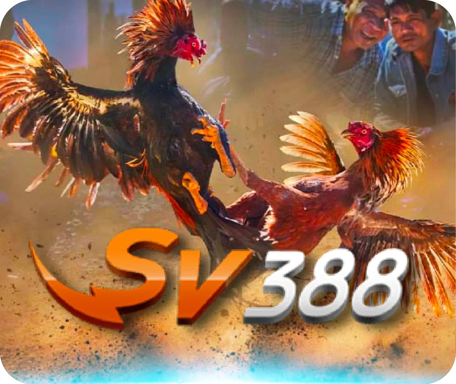 SV388